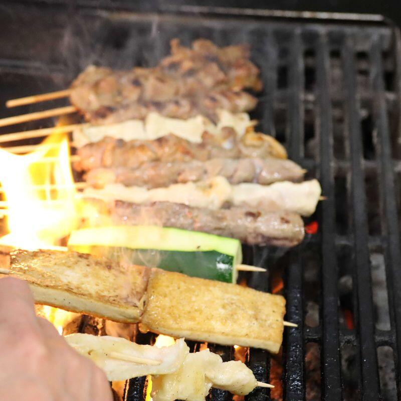 Skewer Combo(10) with 2 Fried Rice